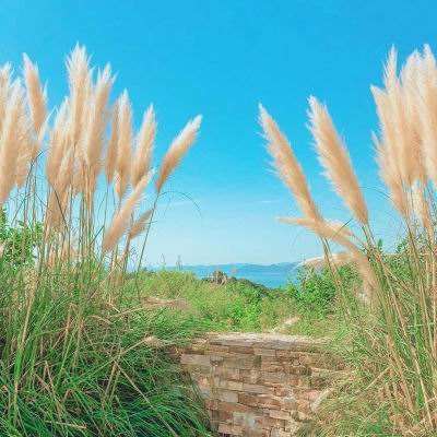 衢州市应急管理系统2025年第四季度 安全生产违法行为典型案例通报