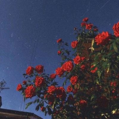 多款新游首曝,友谊时光(6820.HK)的增长飞轮转起来了