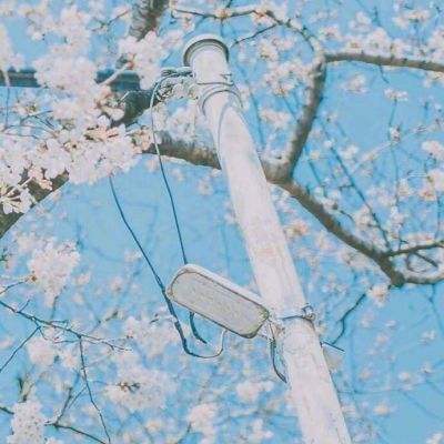 江南H5体育APP登录入口