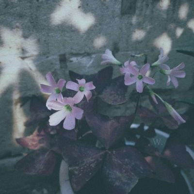 游戏ETF华夏(159869)跌2.24%,成交额3.11亿元