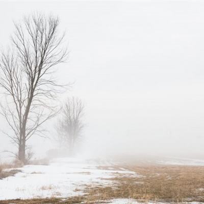 湖北一官员凌晨接上级电话未赴现场在家睡觉 被免职