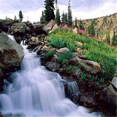 kok电子竞技俱乐部