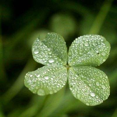 TCL中环持续承压亏92亿两年未分红 新能源光伏毛利率-12.9%负债率66.7%